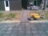 rietkamp08_small.jpg