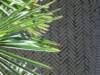achtertuinsandermulder5_small.jpg